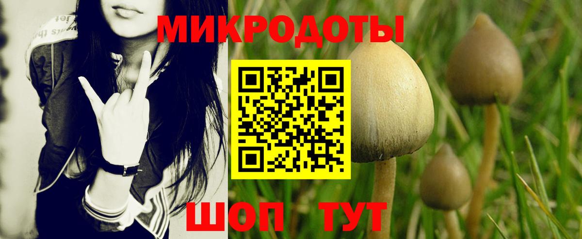 Псилоцибиновые грибы мухоморы  Псилоцибиновые грибы Psilocybe  Вязьма  Вход с VPN 